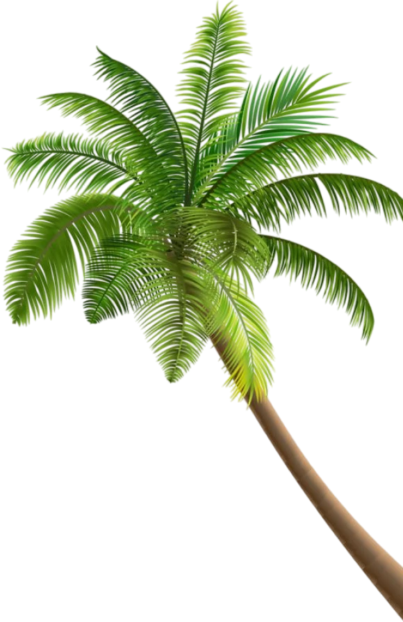 Palm tree decoration